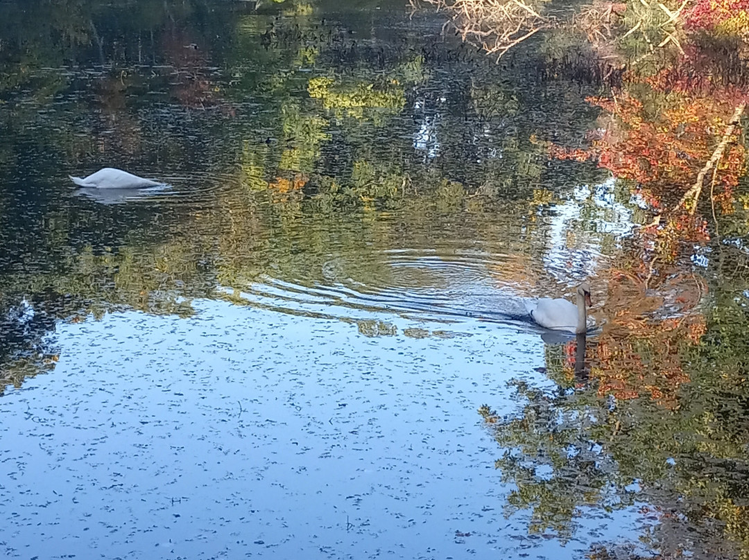 Slater Memorial Park-Pawtucket必去景点