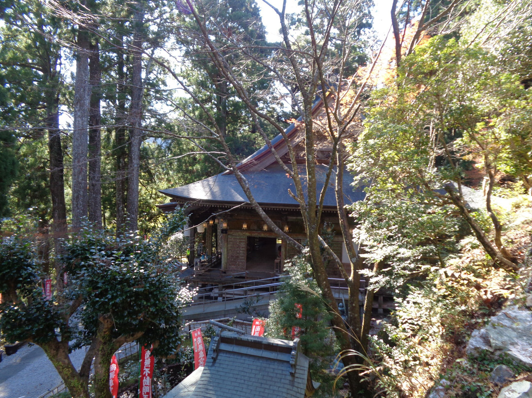 Tairyuji Temple-阿南市必去景点
