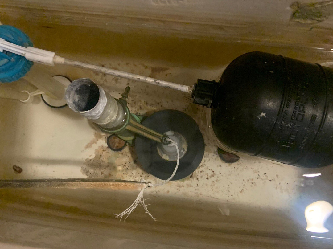 Hotel Real de Minas Poliforum主图