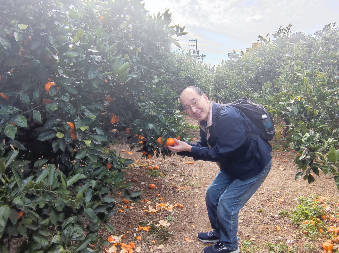 Gamagori Orange Park-蒲郡港必去景点