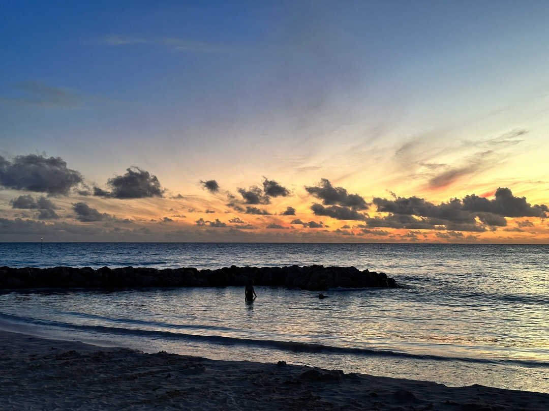 Tiki Bar-Worthing必去景点