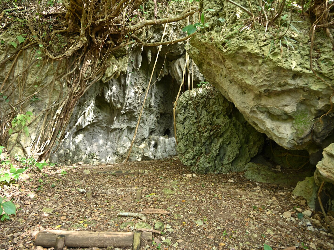 Ufuyaguchi Limestone Cave景点图片