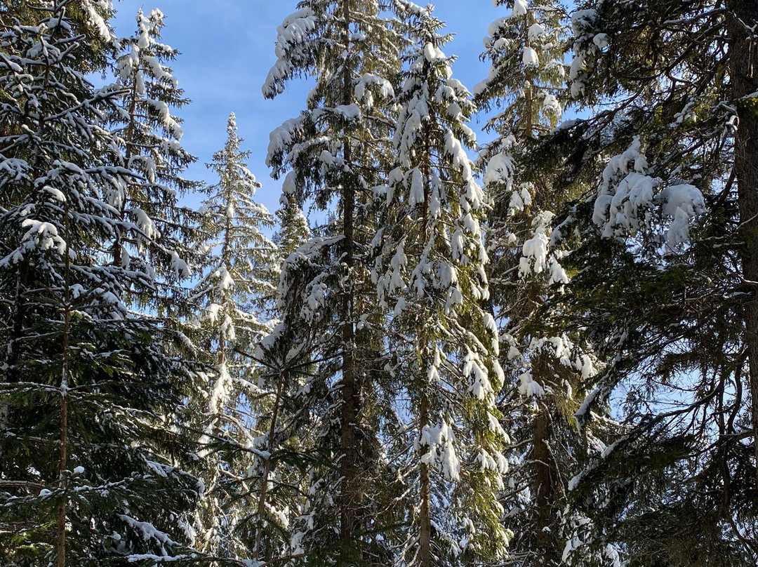 Hotel Stäfeli主图