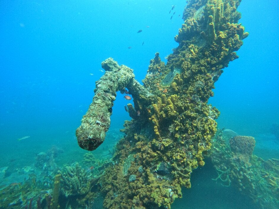 BLT Plongée Martinique-Case-Pilote必去景点