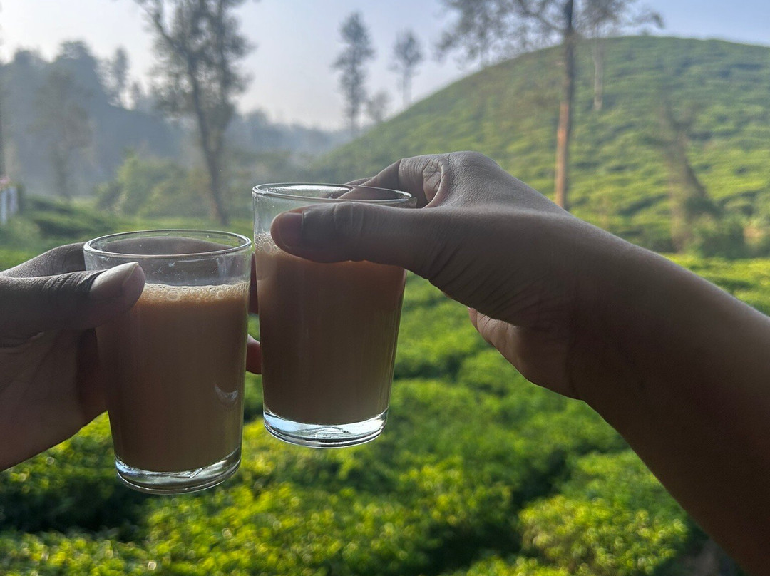 Tea Town Kerala - Wayanad景点图片