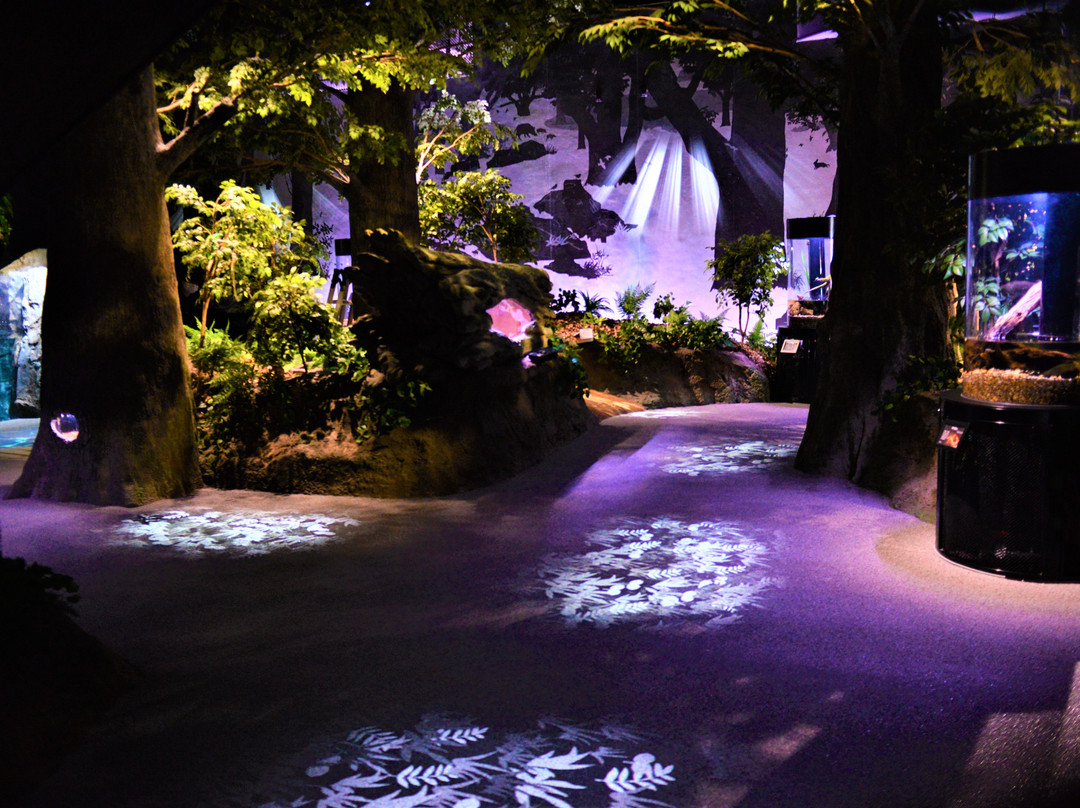 Kochi Prefectural Ashizuri Aquarium Satoumi