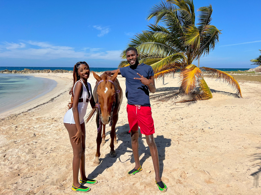 Sand n' Saddle-Rio Bueno必去景点