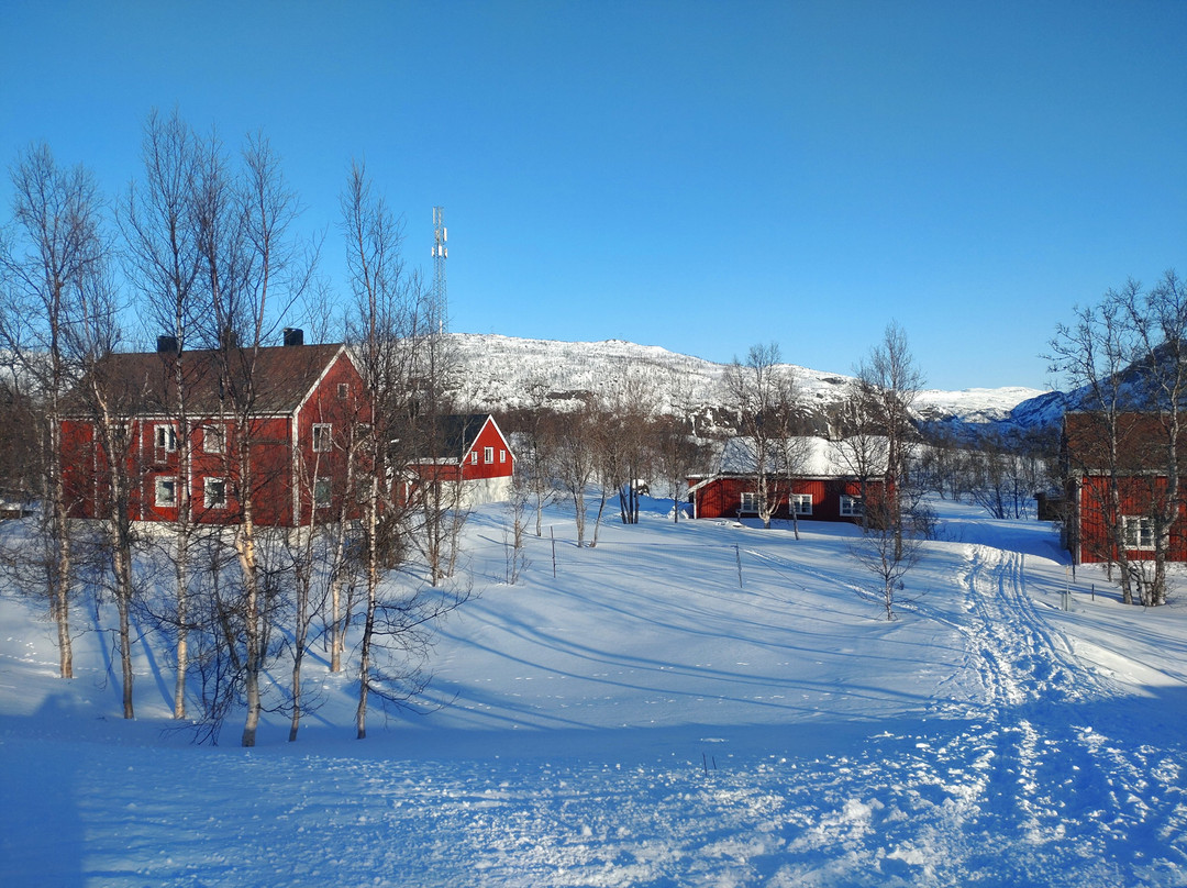 Arctic Train景点图片