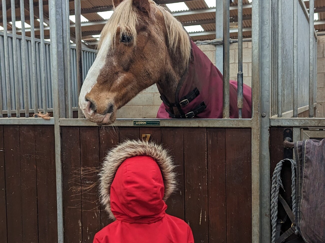 World Horse Welfare Penny Farm景点图片