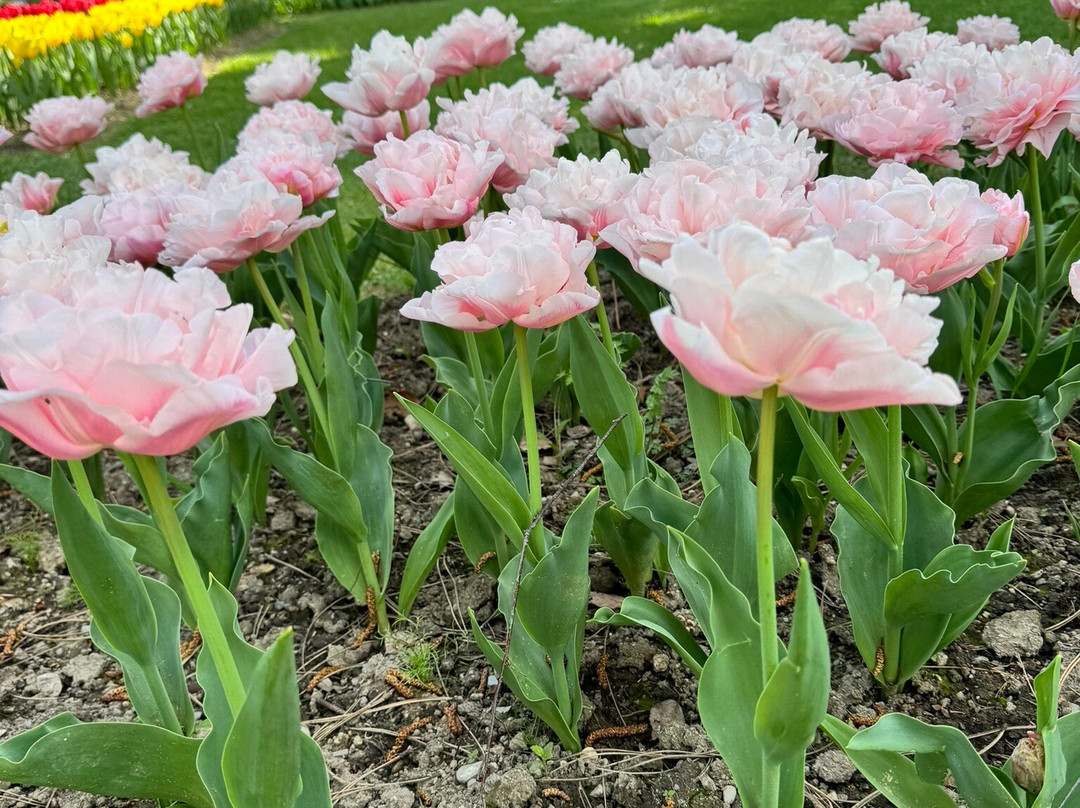 Parc de l'Indépendance-莫尔日必去景点