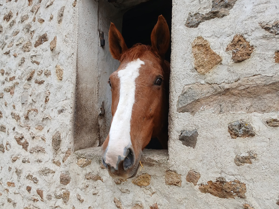 Ferme De Gratteloup
