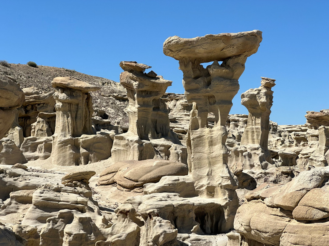 Ah-Shi-Sle-Pah Wilderness Study Area景点图片