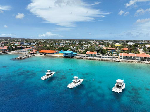 Divi Flamingo Beach Resort & Casino主图