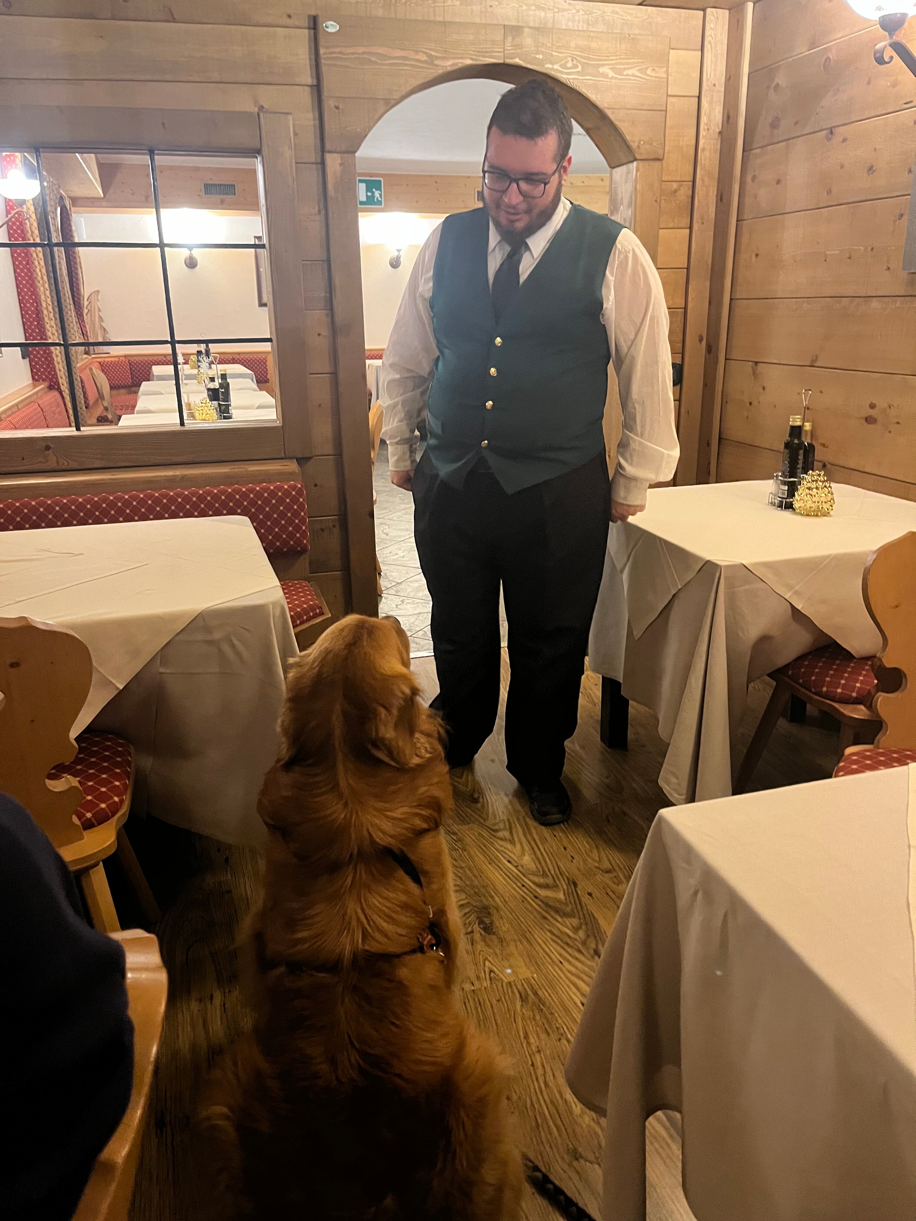 Hotel Primula-官方