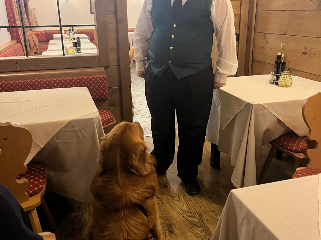 San Rocco酒店住宿-Hotel Primula