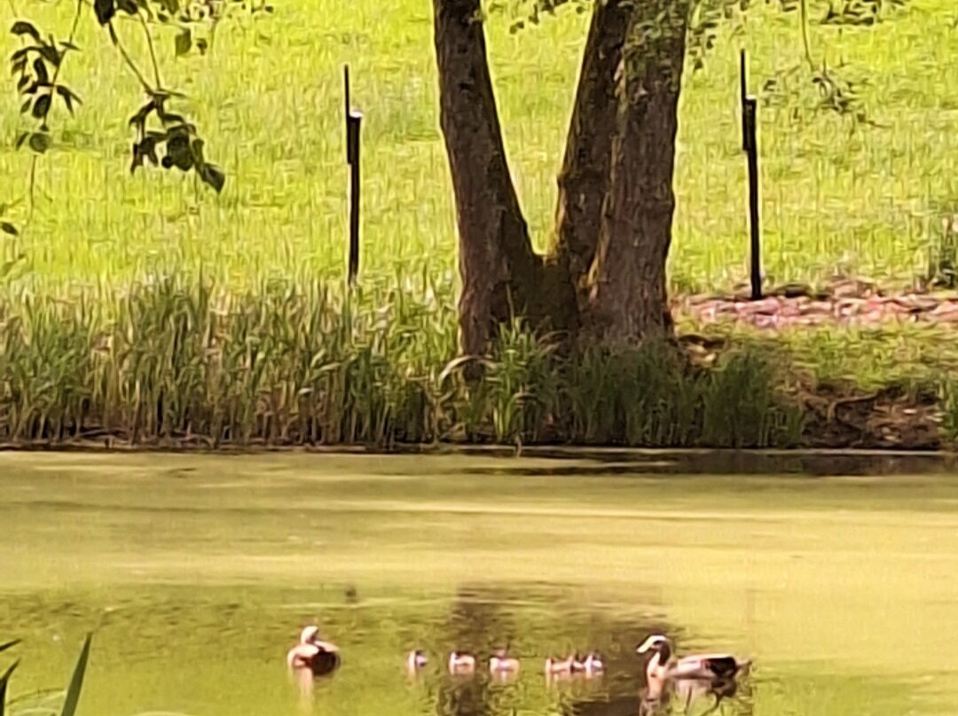 Bed And Breakfast Burg Bruch主图