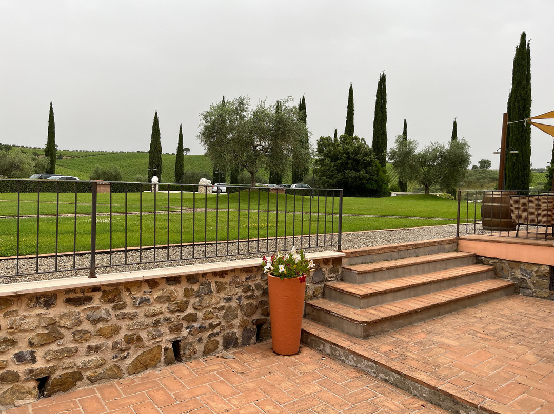 Tolaini Winery景点图片