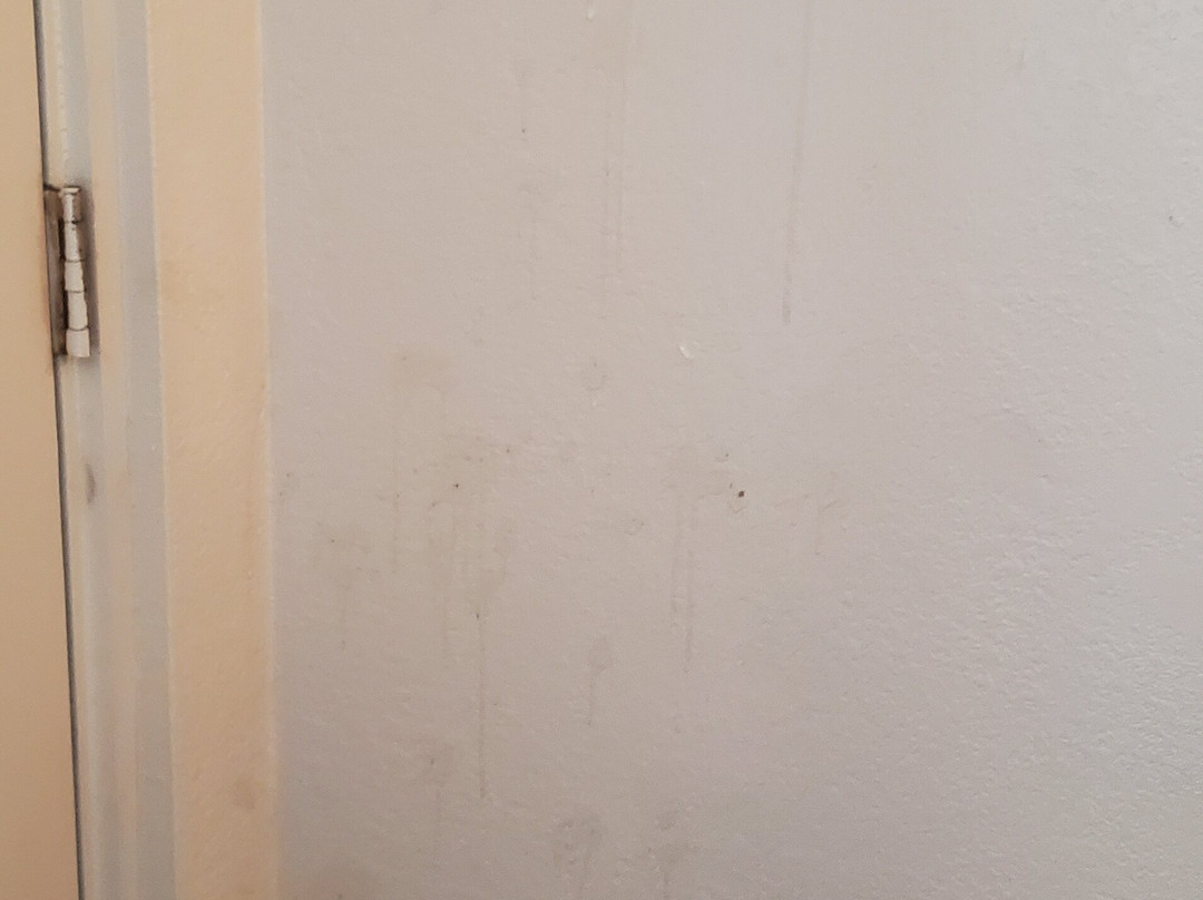 Howard Johnson by Wyndham Springfield主图