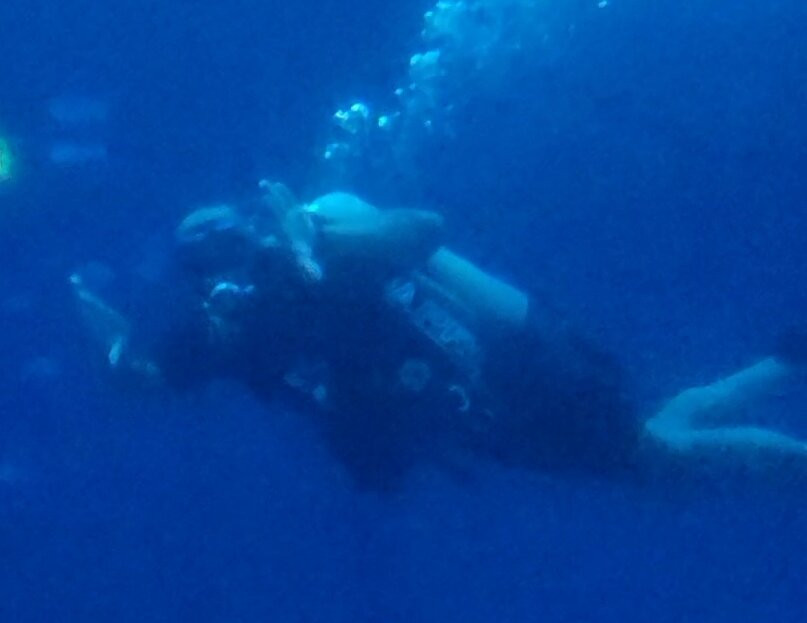 Epcot Divequest-奥兰多必去景点