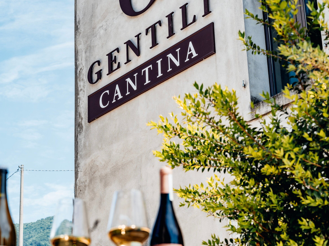 Cantina Gentili - Sinceramente vino景点图片
