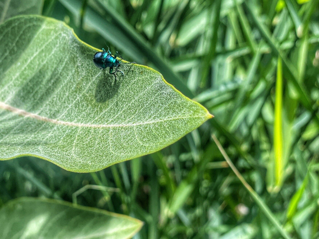 Rock Creek Park-特温福尔斯必去景点