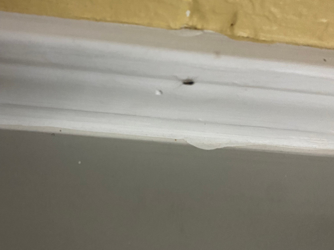 Super 8 by Wyndham Somerset主图