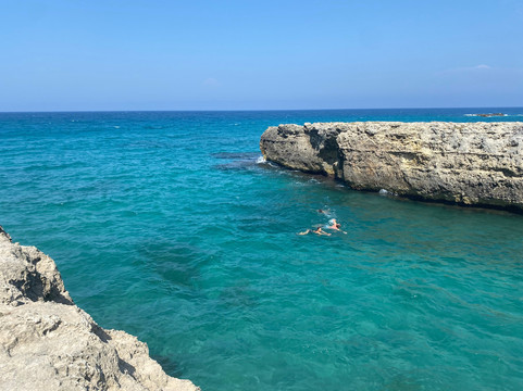 Tenuta i quattro venti主图