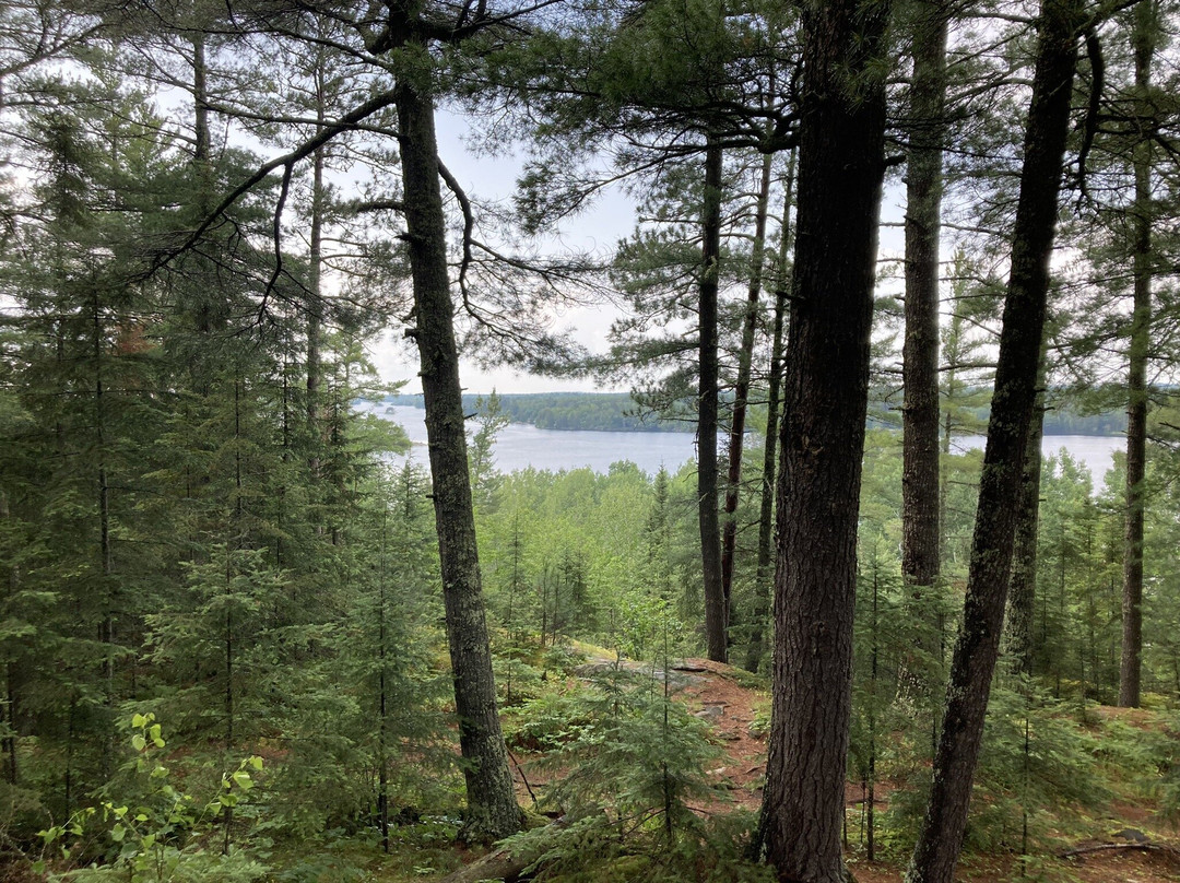 Voyageurs National Park景点图片