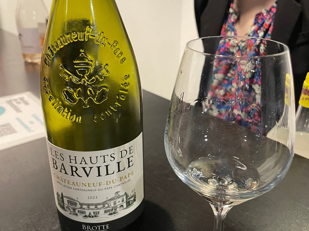 Musee du Vin Brotte Dégustation et Vente景点图片