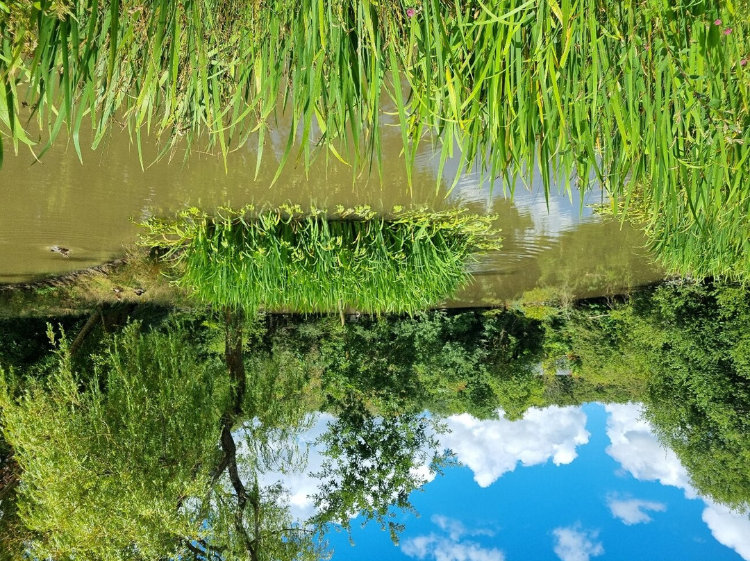 Le Grand Mainguet主图