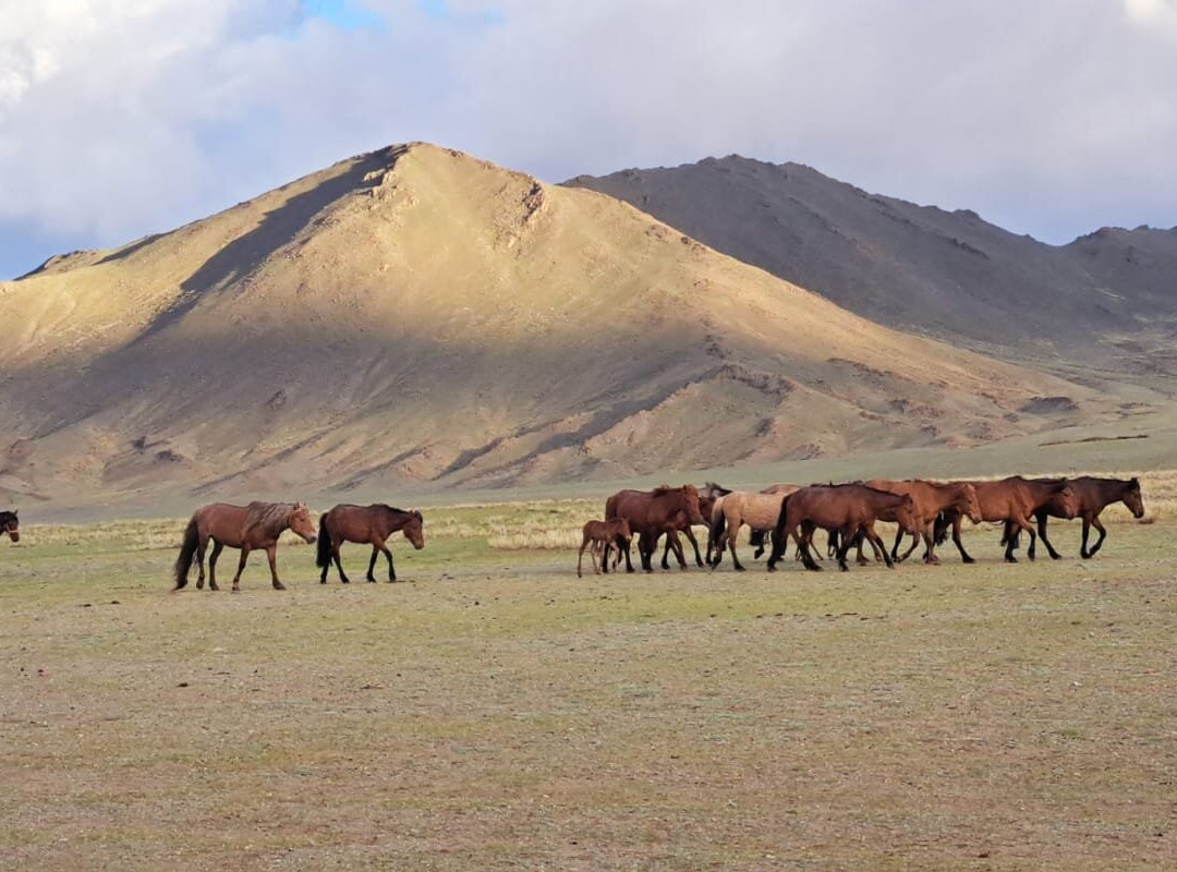 U-Adventures Tours & Expeditions-乌兰巴托必去景点