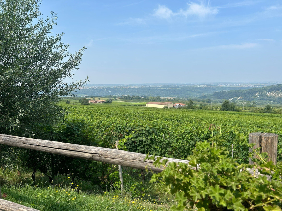 Luca Marenco Viticoltore Azienda Agricola-巴罗洛必去景点