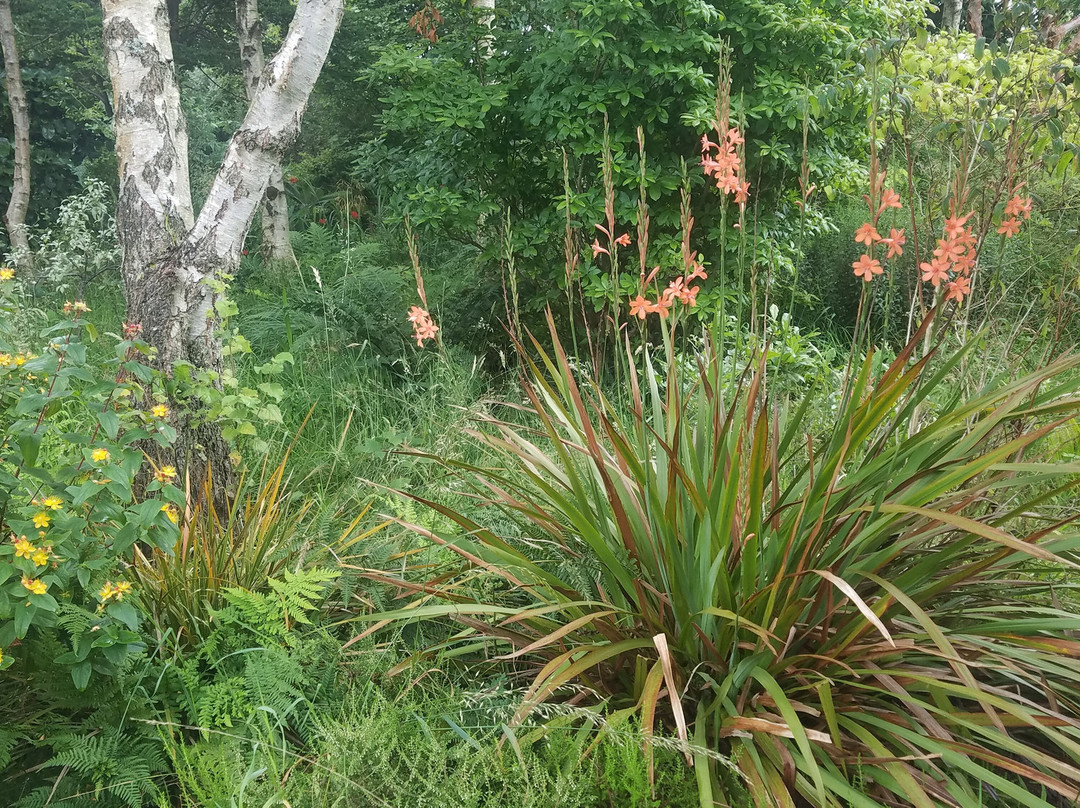 Cluain na dTor-Falcarragh必去景点