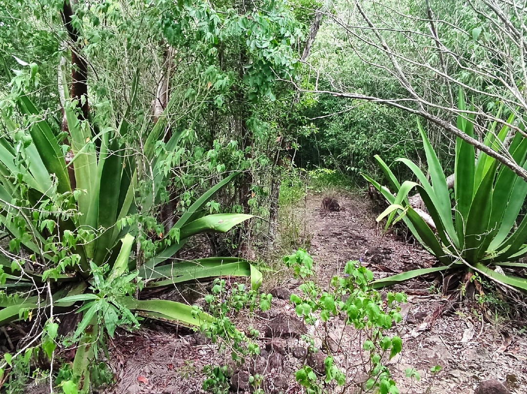 Rando Vers Batterie Du Cap Salomon