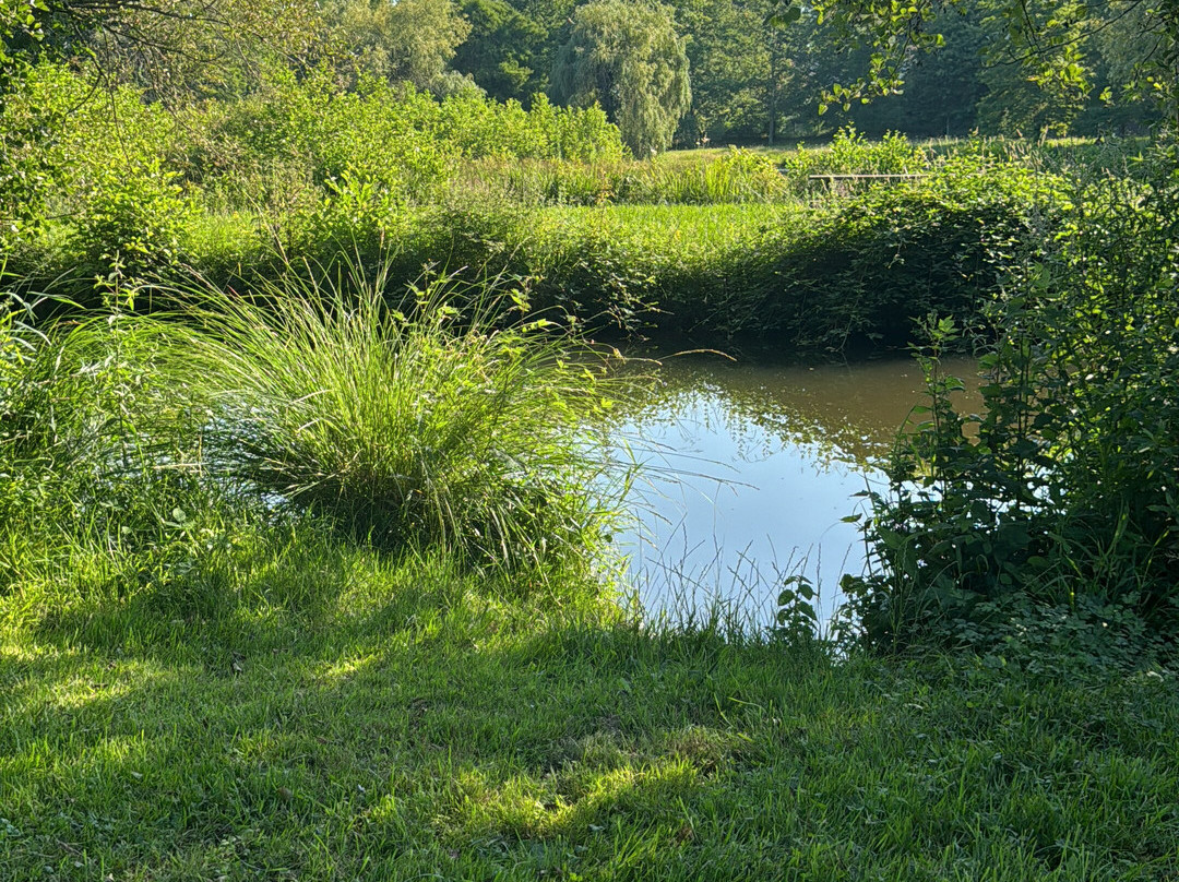 Lac de Cristus-St-Paul-Les-Dax必去景点