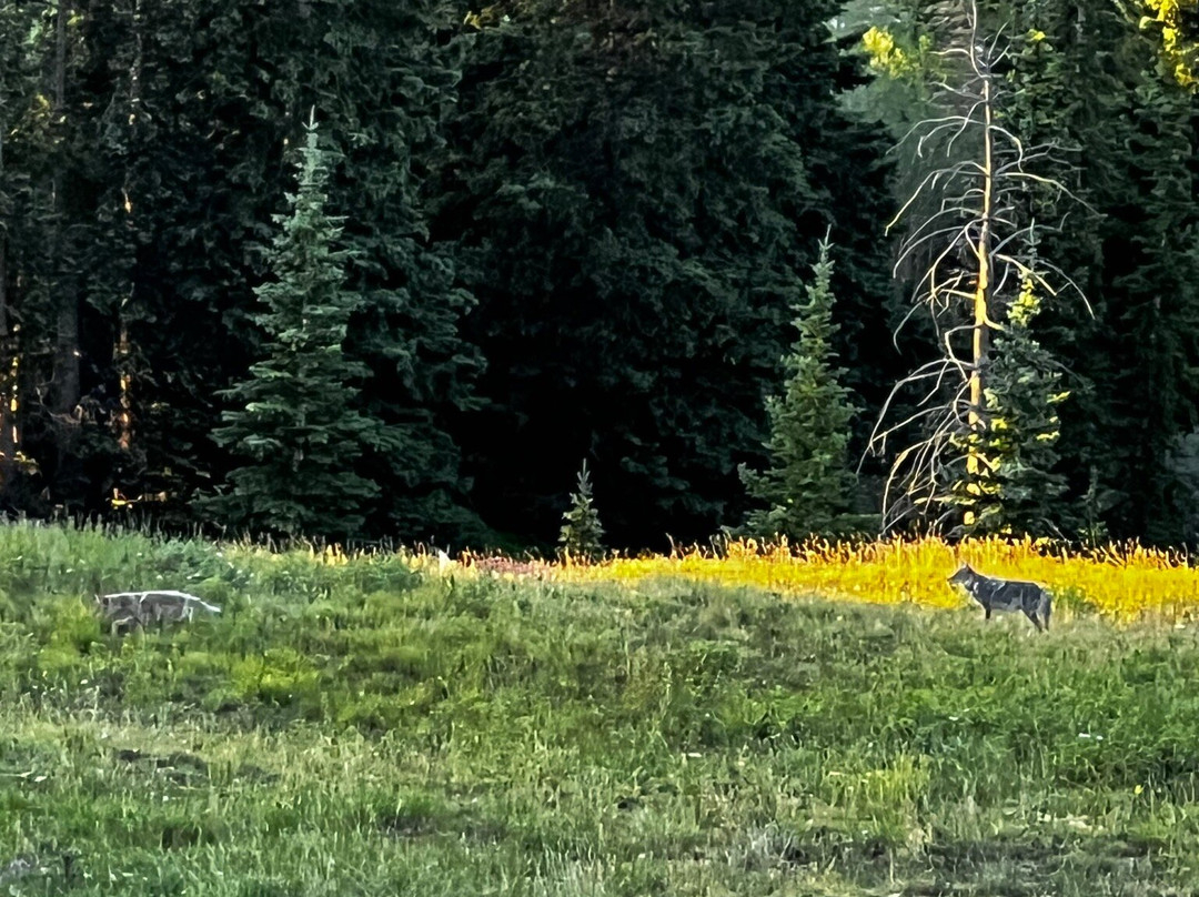 Quandary Peak-布雷肯里奇必去景点