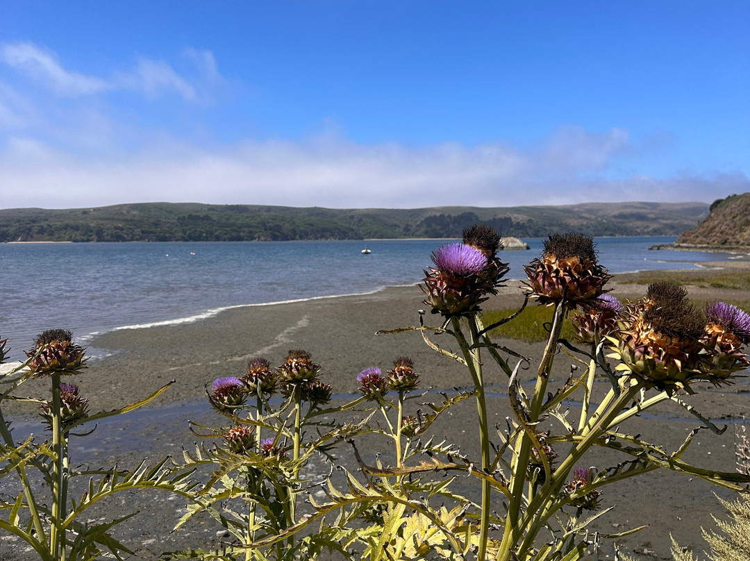 Food & Farm Tours-Point Reyes Station必去景点