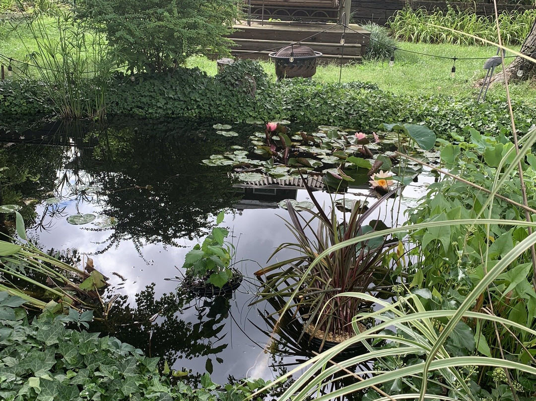 Lily Garden Bed & Breakfast主图