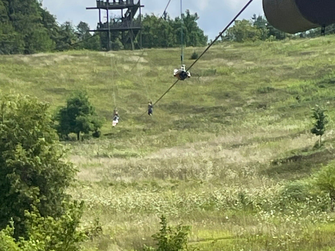 Lake Geneva Ziplines & Adventures-日内瓦湖必去景点