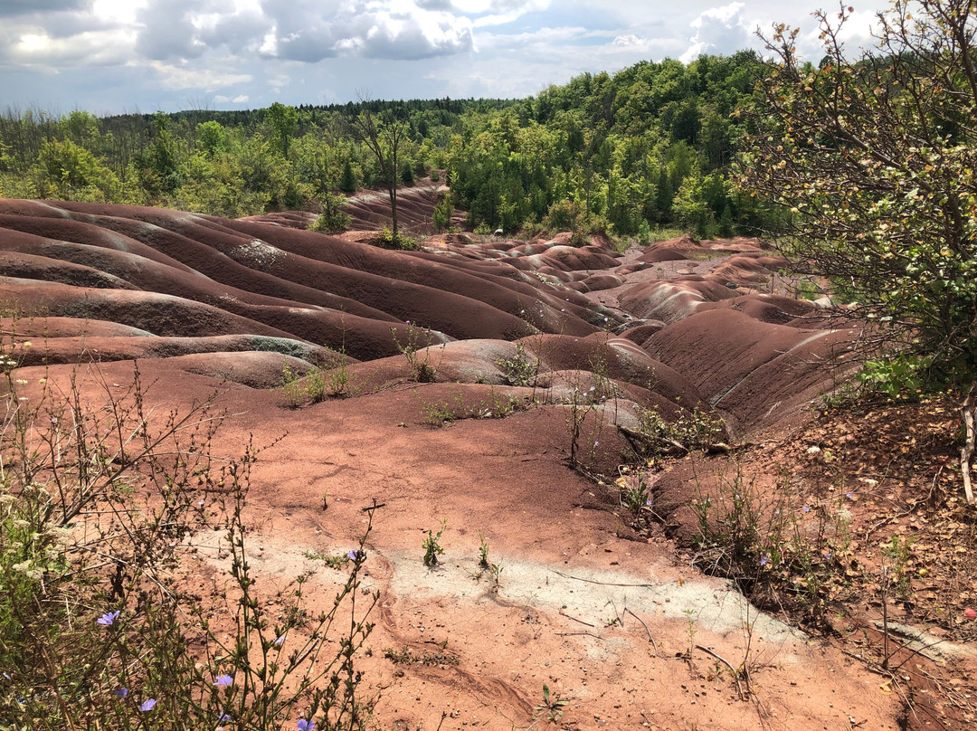 Cheltenham Badlands-卡利登必去景点