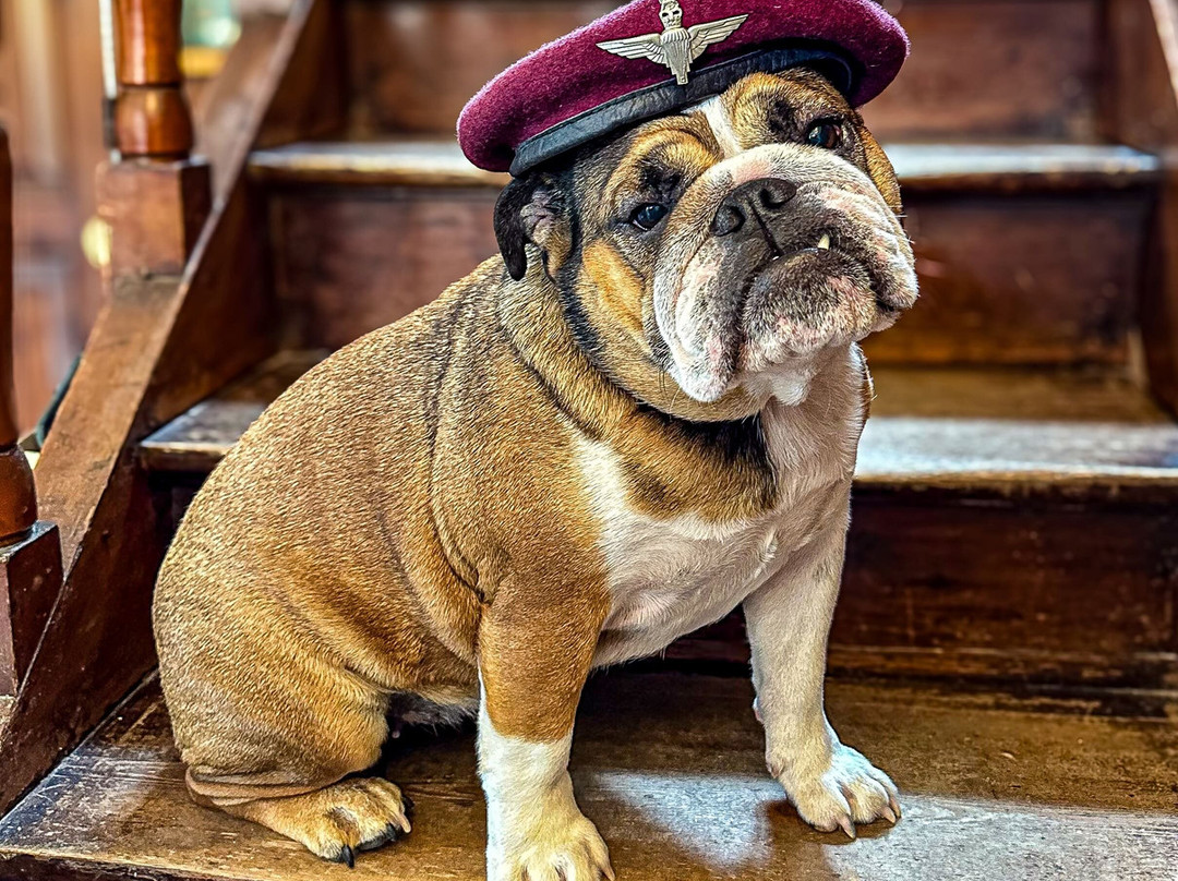 Villa Louis et Marguerite主图