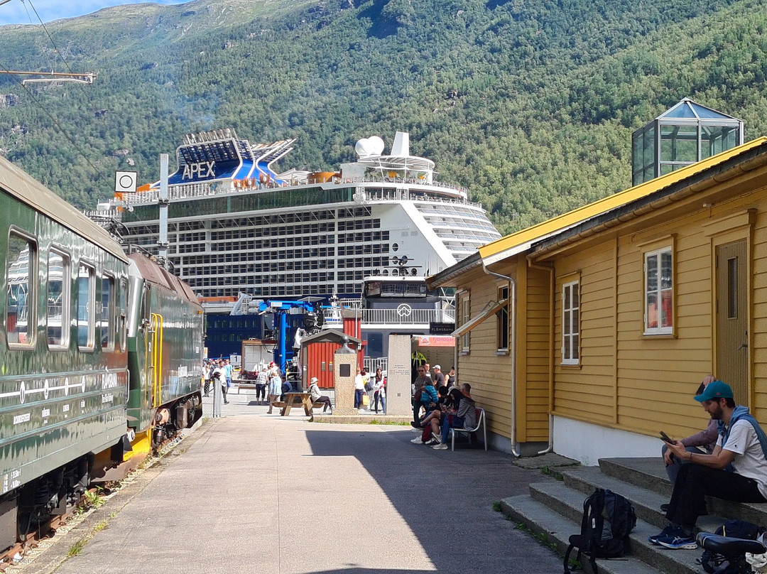 Flåm Railway Museum景点图片
