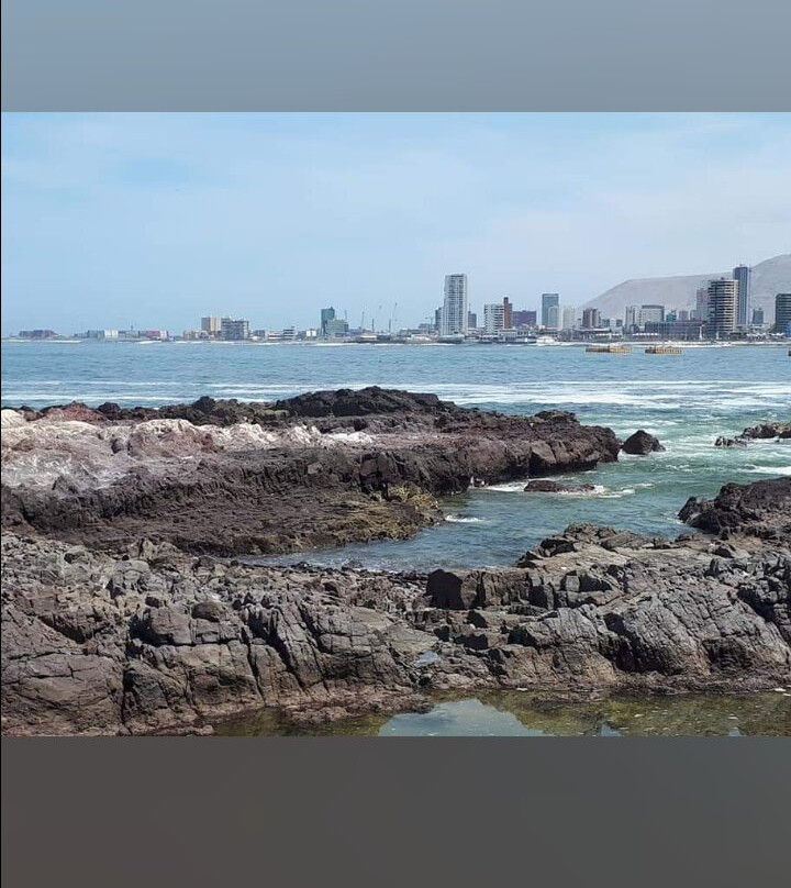 Playa Cavancha-伊基克必去景点