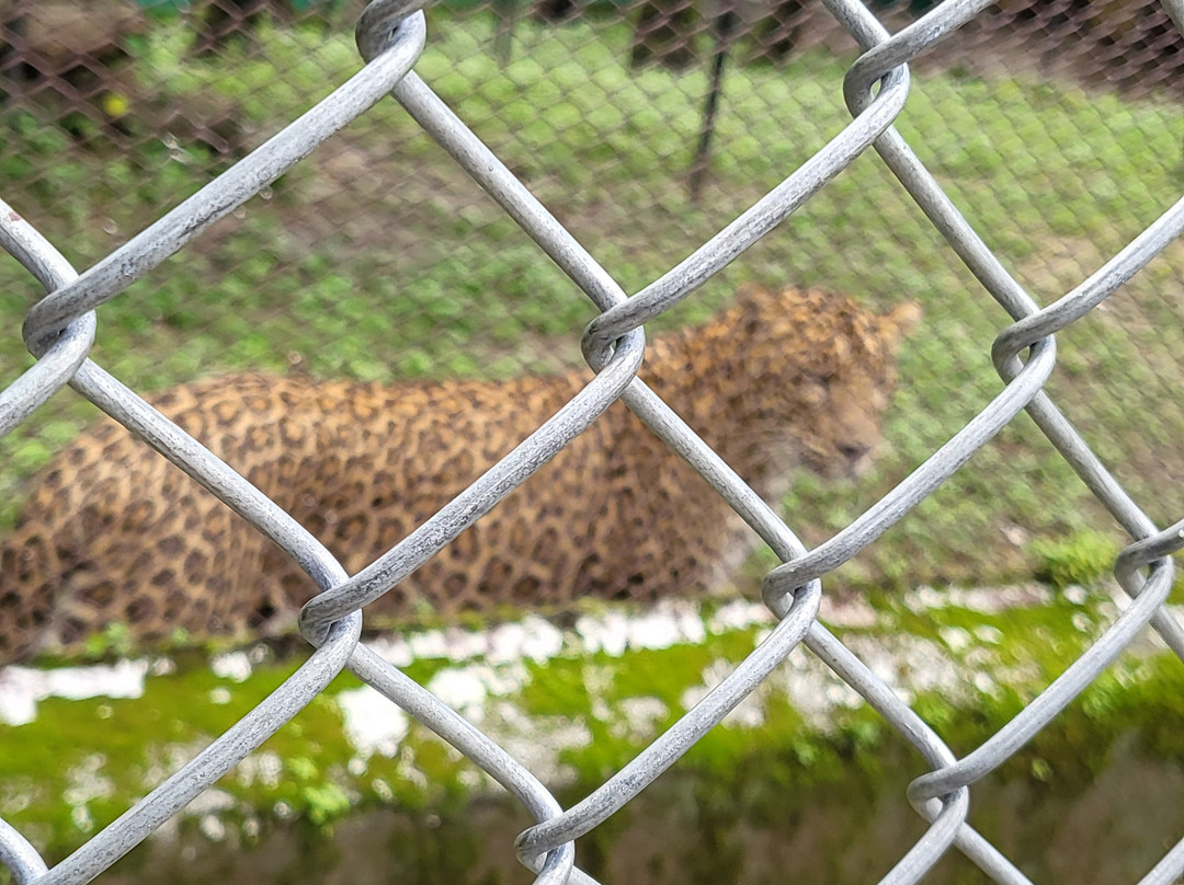 Dehradun Zoo景点图片