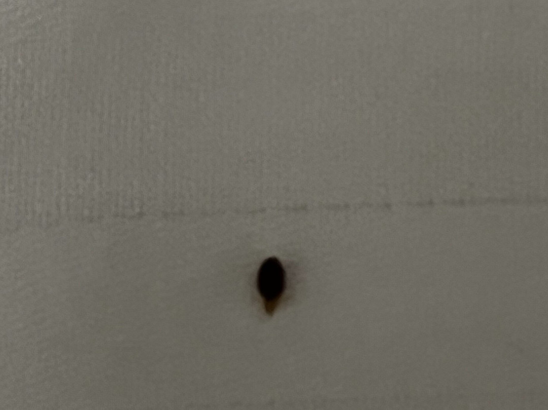 La Quinta Inn & Suites by Wyndham Opelika Auburn主图