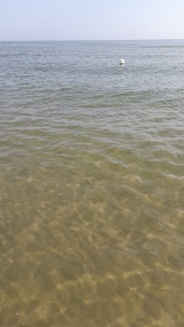 Hotel Gabbiano-官方