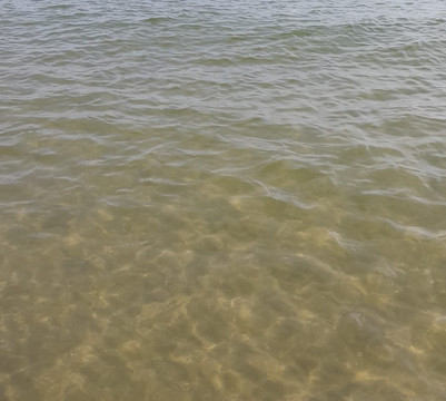 Hotel Gabbiano主图