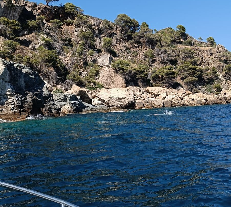 Boats Mediterrani景点图片