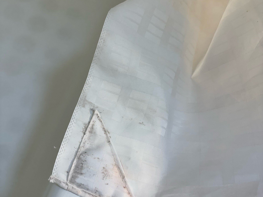 Comfort Suites主图