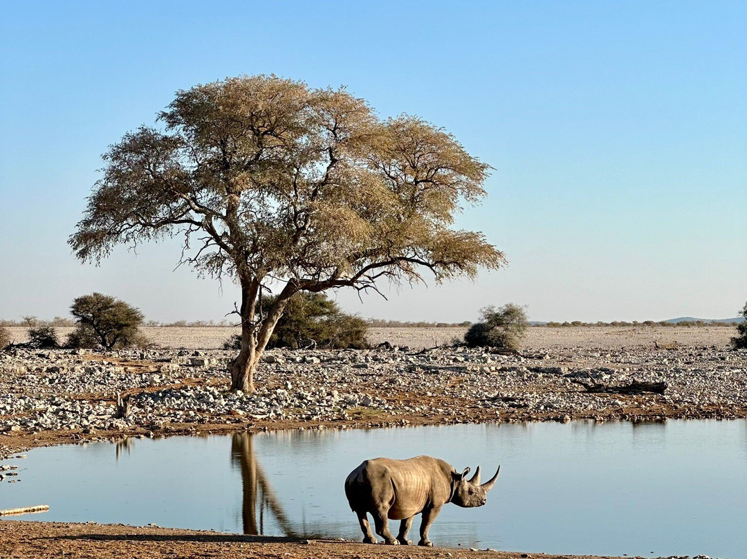 People Tours and Safari cc-苏丝斯黎必去景点